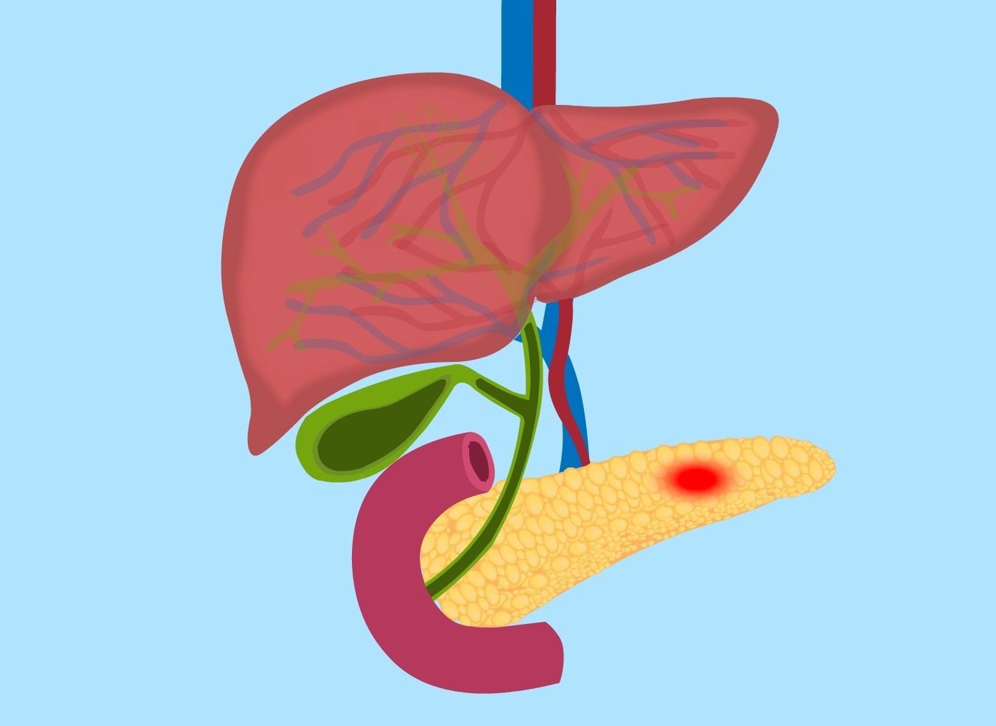 6465d995b0fc8.jpg 6465d995b0fc8.jpg