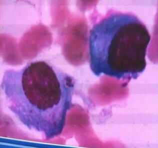 68d4fb9c98a19.jpg 68d4fb9c98a19.jpg